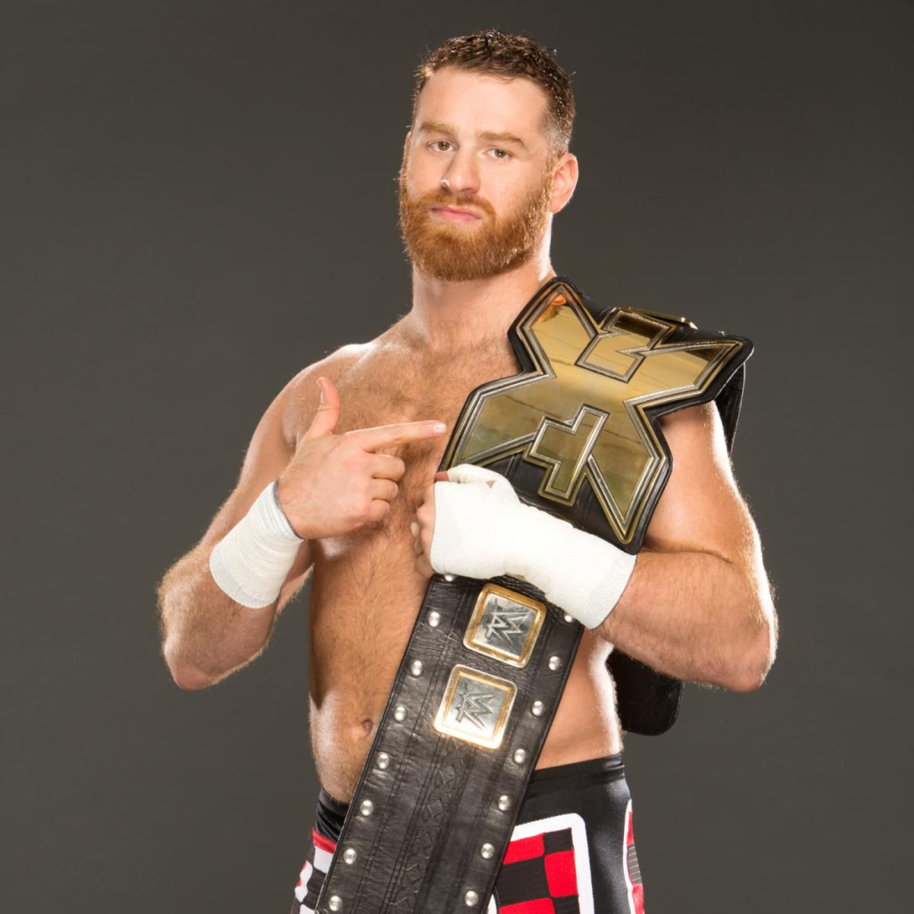 Sami Zayn WIKI/Bio