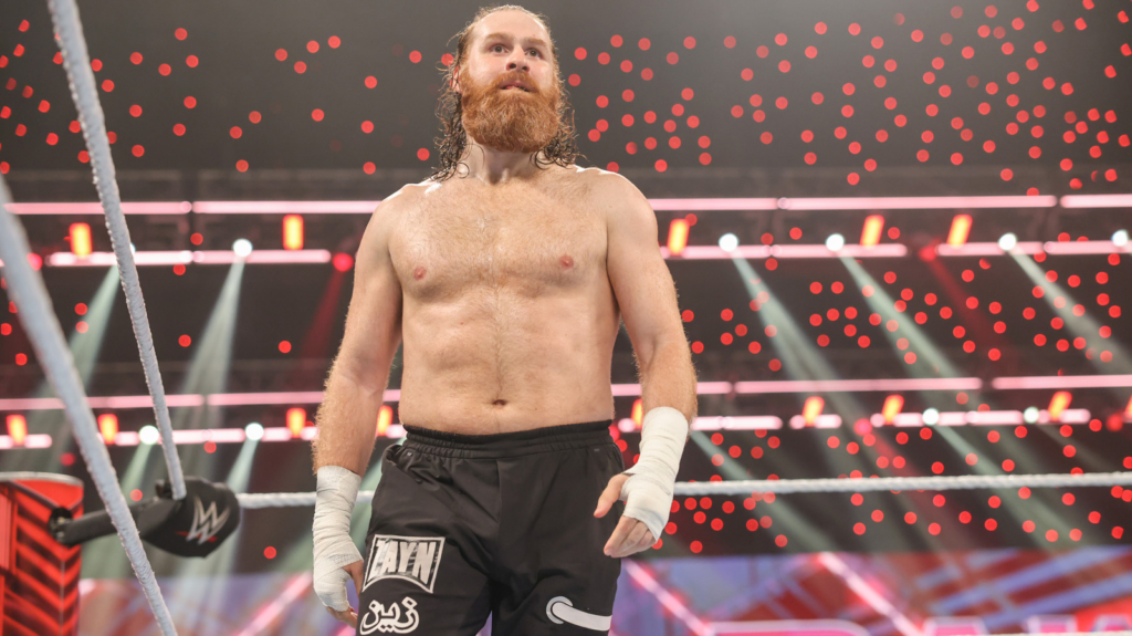 Sami Zayn Early Life and Education